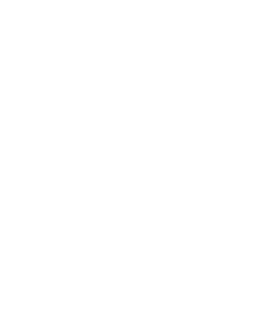 Carnegie Carnival