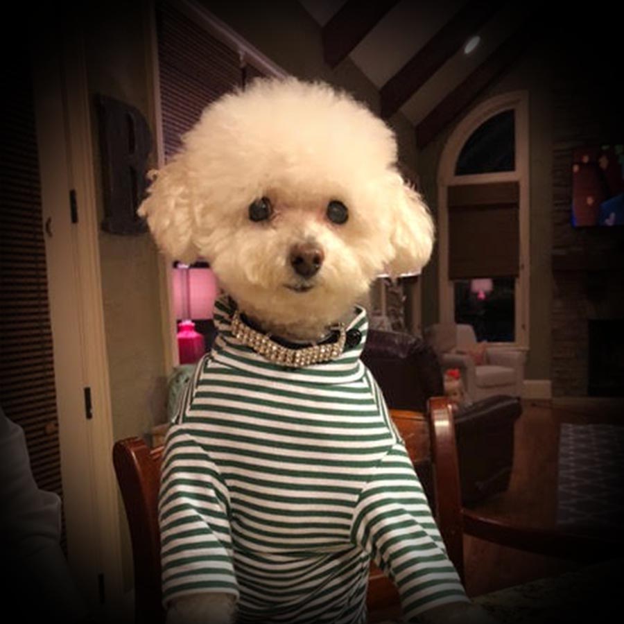 Sweetie Photo